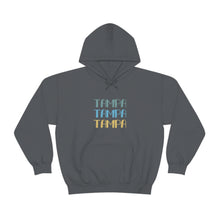Load image into Gallery viewer, Tri-Color Tampa Hoodie