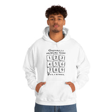 Load image into Gallery viewer, Gasparilla Drinking Game Hoodie