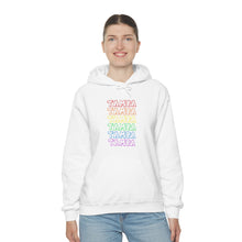 Load image into Gallery viewer, Tampa Pride Hoodie