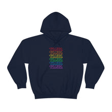 Load image into Gallery viewer, Tampa Pride Hoodie