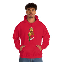 Load image into Gallery viewer, Gasparilla Pirate Pinup Hoodie